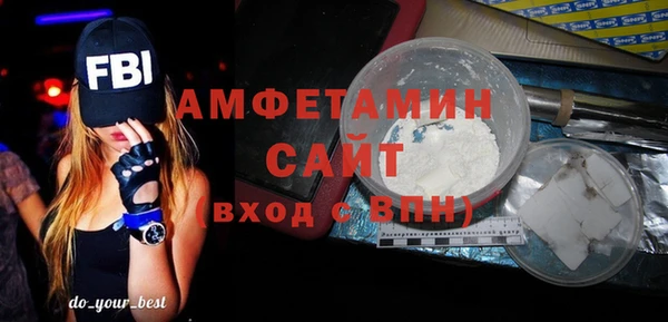 твердый Мегион